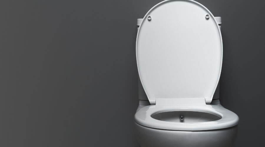 Why choose Bellevue Portable Toilets Rental for construction toilets in Bellevue,Wa